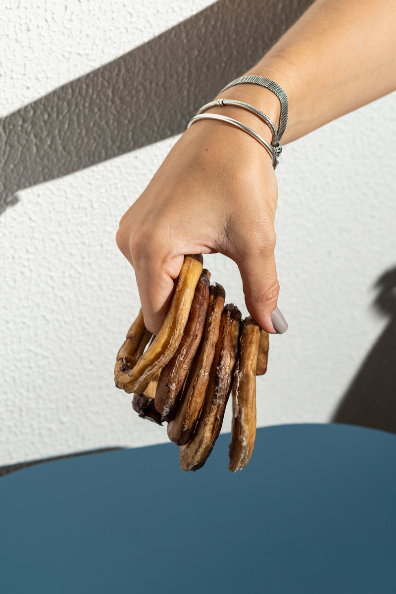 Meet True Bite Chews